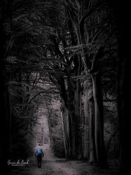 Blau.............. von Ger vd Broek natuurfotografie