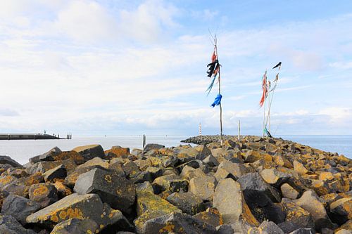 Ingang haven Harlingen