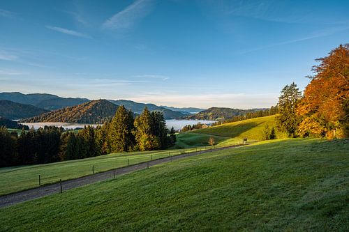 Zonsopgang in de herfst bij Oberstaufen met uitzicht op de Staufen berg
