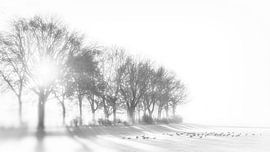 Ochtenzon in de Maasheggen #3 van Lex Schulte