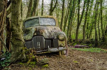 Voiture de collection sur Petra Simons