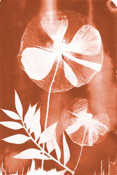 Bronze poppy by Lies Praet