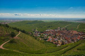 Blick auf das Weindörfchen Niedermorschwihr im Elsass von Tanja Voigt