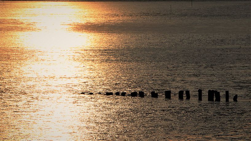 Golden light by Gjalt Gjaltema