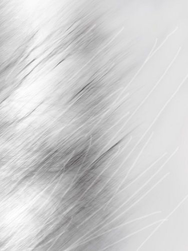 Scratches | abstract digital artwork