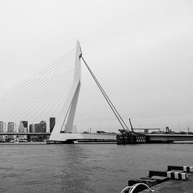 De Erasmusbrug Rotterdam van Rayn Hossainkhan