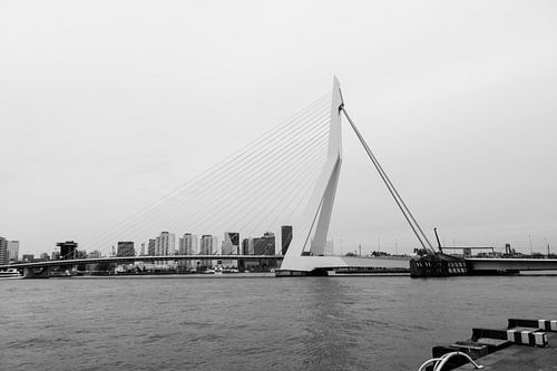 De Erasmusbrug Rotterdam