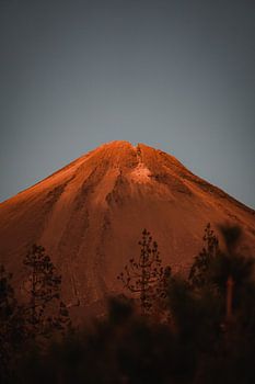 Vulkaan Teide van dichtbij bekijken