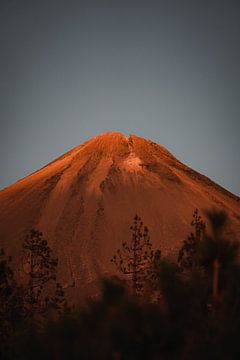 Vulkaan Teide van dichtbij bekijken van Let's see!