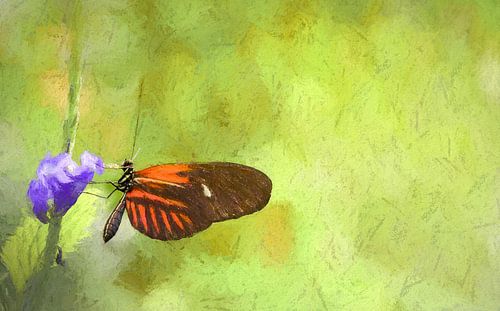 Mooie vlinder op paarse bloem, oliepastel