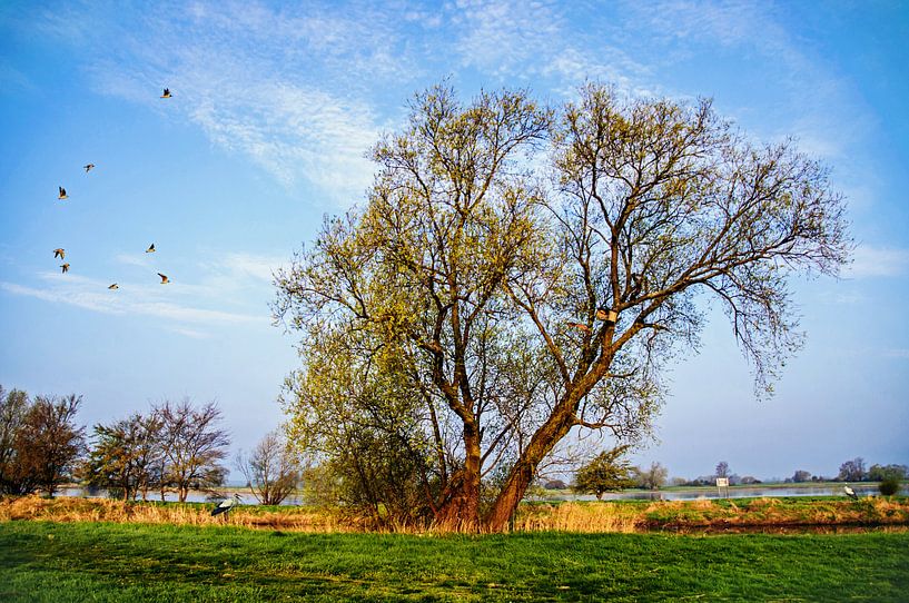 Elbe km 378 van georgfotoart