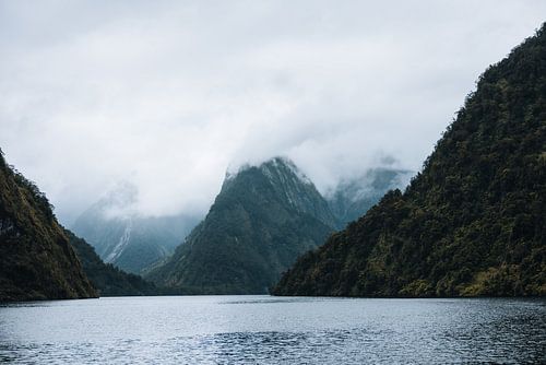 Doubtful Sound : une beauté à découvrir