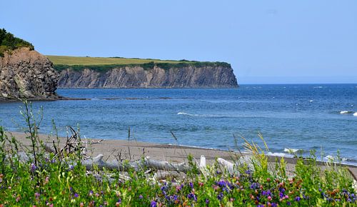 De rivier de Saint-Laurent in de zomer