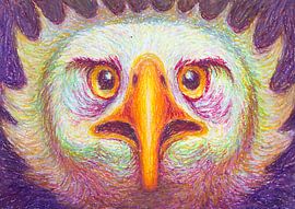 Seeadler von vorne von Martijn Boudestein