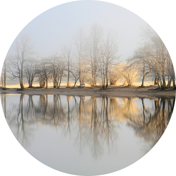 januariochtend van Bor 