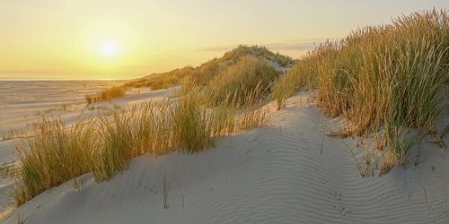 Strand bij de Boschplaat op Terschelling