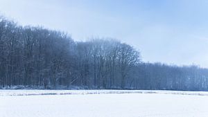 Neigembos Winter Panoramisch Landschap