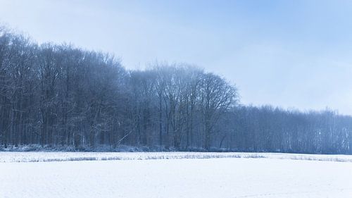 Neigembos Winter Panoramisch Landschap