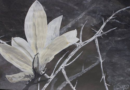 Song of Songs 2, verse 2