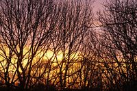 dawn