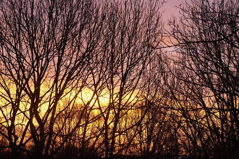 dawn by Madeltijntje