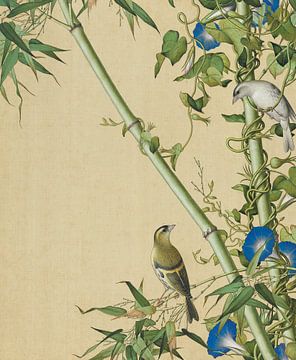 Bamboos and Ivy Morning Glories, Giuseppe Castiglione