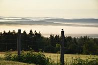 A mist on a summer morning by Claude Laprise thumbnail