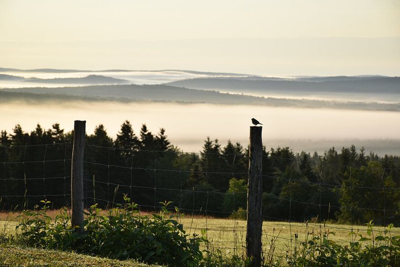 A mist on a summer morning by Claude Laprise