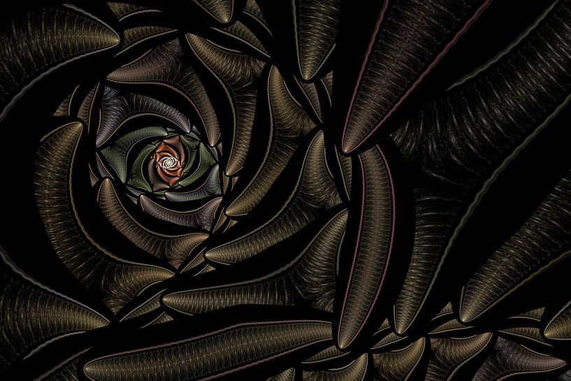 Abstract by Rosa Fotoart
