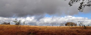 Panorama de Hogevenen sur Lex Schulte