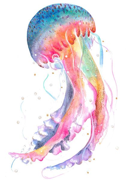 Quallen mit Regenbogentönen von Isabelle Brent
