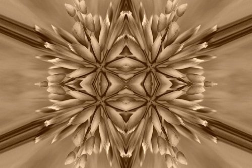 Dynamic flowers warm antique