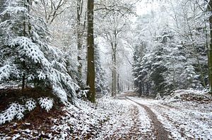Pays des merveilles