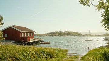 Summer light at the red boathouse - coastal idyll on Tjörn by Sven Schleider