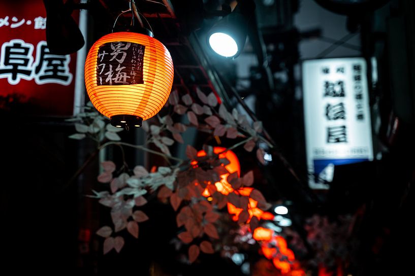 Lanterne à Shinjuku par Mickéle Godderis