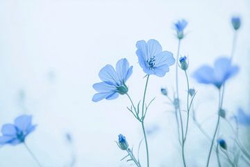 Blauwe bloemenpracht