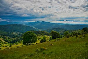 Paysage vosgien au Petit Ballon sur Tanja Voigt