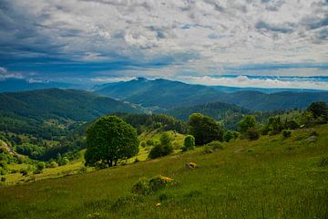 Vogesenlandschaft am Petit Ballon von Tanja Voigt