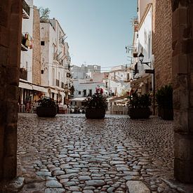 Een behaaglijke straat met oude, mooie huizen op Ibiza | Architectuur | Straatfotografie van eighty8things