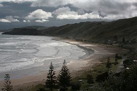 Kust Nieuw-Zeeland von Bijzonder Landschap