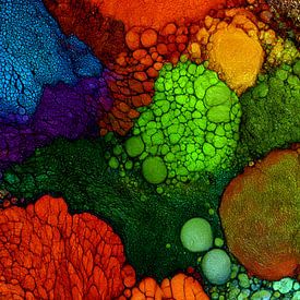 BUNTE VERBINDUNG 02 von AHAI depARTment