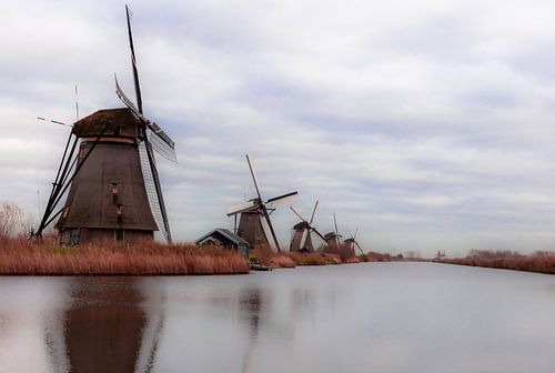 Kinderdijk Orange und Krickente