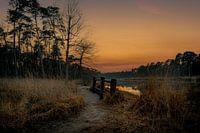 Zonsondergang in Oisterwijk