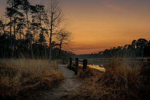Coucher de soleil à Oisterwijk