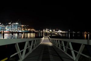 Maasvlakte van Yara Rietdijk