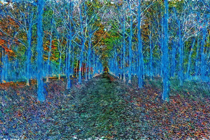 The blue forrest by Herman Kremer
