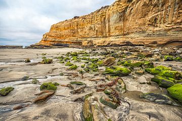 Groene rotsen op het strand van Joseph S Giacalone Photography