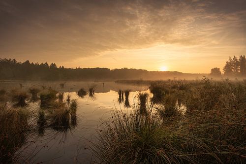Ven Blankeveen in Drenthe met ochtendmist tijdens zonsopkomst
