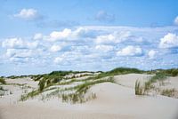 Duinen - Texel