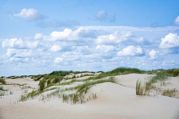 Dunes - Texel sur Joop Bruurs